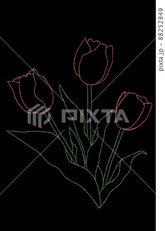 カラフルな線画のチューリップのイラスト 手描き のイラスト素材