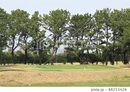 春のゴルフ場ショートホールグリーンのイメージ 88253426
