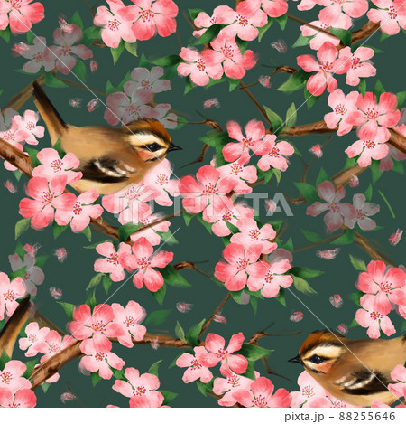 Seamless floral pattern. Birds and pink flowers. Dark green background. Seamless floral pattern. Birds and pink flowers. Dark green background. 88255646