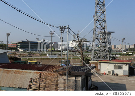 大井競馬場 88255675