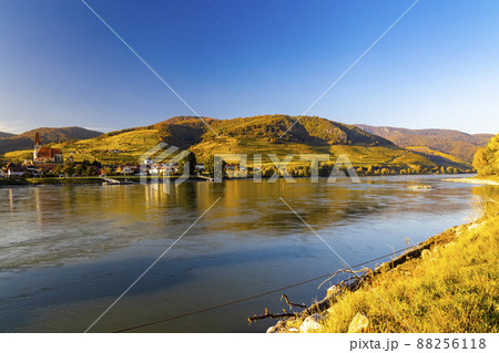 autumn vineyard in Wachau region, Austria autumn vineyard in Wachau region, Austria 88256118