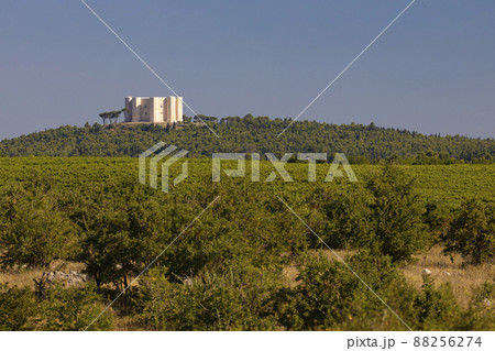 Castel del Monte, castle built in an octagonal shape by the Holy Roman Emperor Frederick II in the 13th century in Apulia region, Italy 88256274