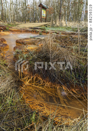 Nature reserve Soos, Western Bohemia, Czech Republic 88256319