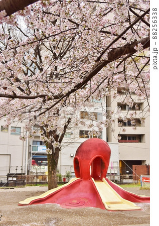 恵比寿東公園の桜 東京 恵比寿東公園の桜 東京 88256338