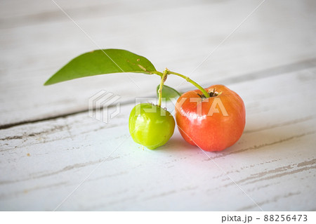 アセロラ2つ 88256473