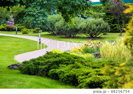 park with curved path paved with stone tiles in park among plants, evergreen thuja and pine bushes and foliage trees surrounded by green lawn with lantern iron ground garden lighting, nobody. 88256754