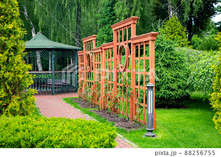 Vertical wooden pergola in climbing roses garden with stone brick walkway with granite curb and ground lantern in backyard in with birch and pine trees, thuja and lawn with iron gazebo on background. Vertical wooden pergola in climbing roses garden with stone brick walkway with granite curb and ground lantern in backyard in with birch and pine trees, thuja and lawn with iron gazebo on background. 88256755