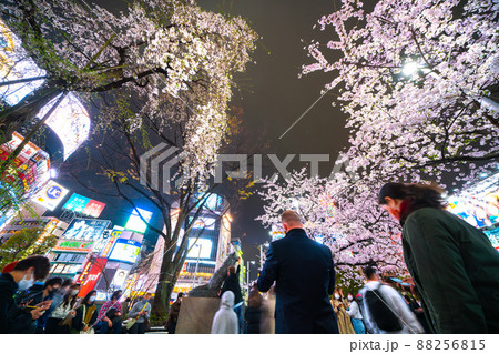 日本の東京都市景観 桜が満開。今年はしだれ桜(左)と共演。外国人家族の子供がハチ公をなでなで=29日 日本の東京都市景観 桜が満開。今年はしだれ桜(左)と共演。外国人家族の子供がハチ公をなでなで=29日 88256815