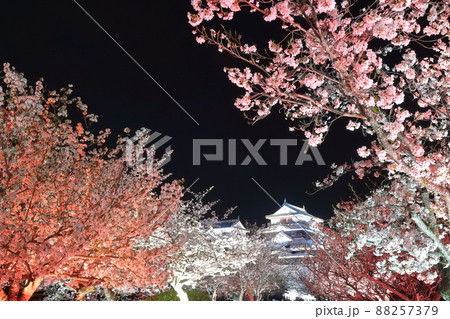【愛媛県】夜桜が満開の松山城天守閣 88257379