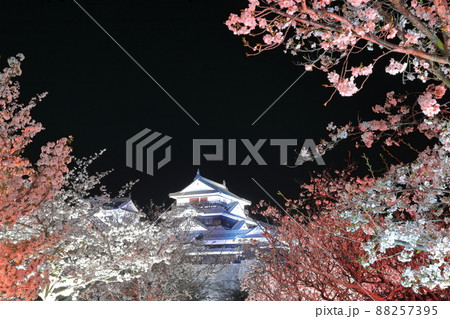 【愛媛県】夜桜が満開の松山城天守閣 【愛媛県】夜桜が満開の松山城天守閣 88257395