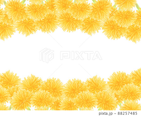 タンポポだらけ上下フレーム 88257485