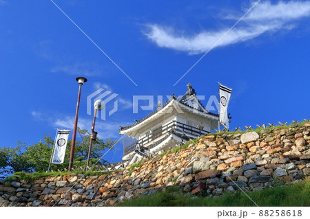 出世城として有名なお城（浜松城　静岡県 浜松市） 88258618