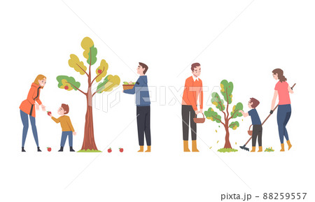 People Working At Autumn Garden And Harvesting のイラスト素材