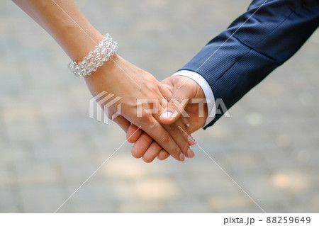 The bride and groom hold each other's hands 88259649