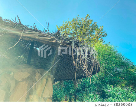 Large straw umbrellas with palm trees on the beach against the sea and sky. Large straw umbrellas with palm trees on the beach against the sea and sky. 88260038