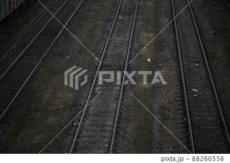 Abandoned railroad tracks. Steel rails overgrown with grass Abandoned railroad tracks. Steel rails overgrown with grass 88260556