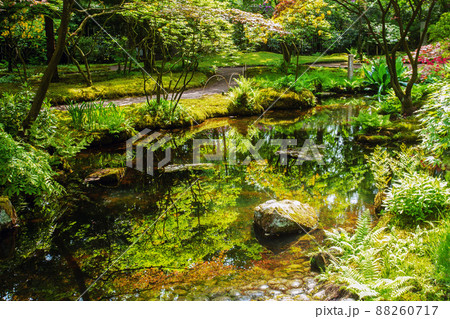 Awe blossom of pink and yellow rhododendrons and other plants in Japanese garden in the Hague - reflections in water and stones Awe blossom of pink and yellow rhododendrons and other plants in Japanese garden in the Hague - reflections in water and stones 88260717
