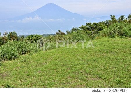足柄山地の矢倉岳山頂 夏の富士山を眺める 足柄山地の矢倉岳山頂 夏の富士山を眺める 88260932