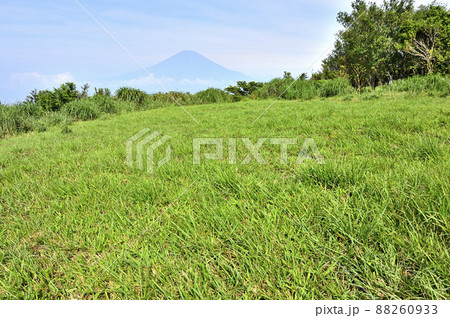足柄山地の矢倉岳山頂 夏草の向こうに聳える富士山 足柄山地の矢倉岳山頂 夏草の向こうに聳える富士山 88260933