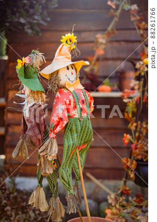 close up photo of scarecrow with sunlight pumpkin and other Halloween decorations  88261766