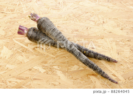 黒にんじん 88264045