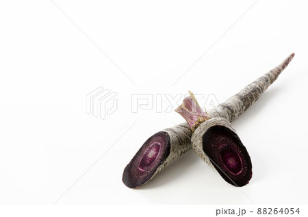 黒にんじん 88264054