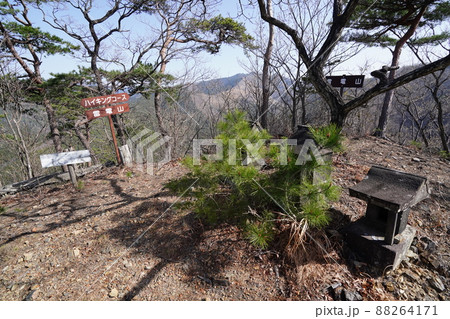 桐生市菱町から仙人ケ岳登山コースを登る。雷電山山頂に到着 桐生市菱町から仙人ケ岳登山コースを登る。雷電山山頂に到着 88264171