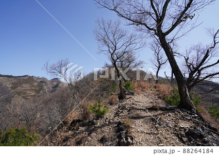 桐生市菱町から仙人ケ岳登山コースを登る。黒川左岸の尾根の仙人ケ岳登山道 2014年の林野火災の跡 桐生市菱町から仙人ケ岳登山コースを登る。黒川左岸の尾根の仙人ケ岳登山道 2014年の林野火災の跡 88264184