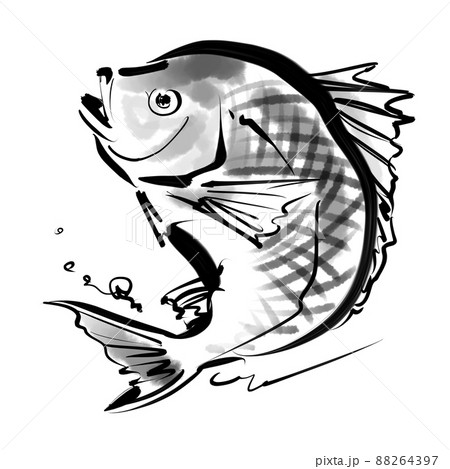 鯛の墨絵 鯛の墨絵 88264397