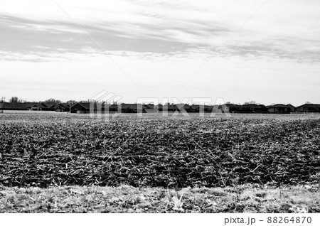 Empty corn field after fall harvest with residue over soil. Urban sprawl visible in the distance with residential housing development. 88264870