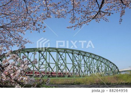 京都　桜と電車の風景 88264956