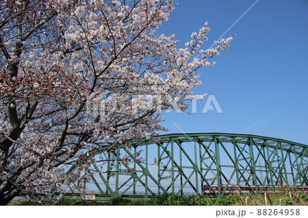 京都　桜と電車の風景 88264958