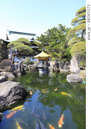 乗蓮寺(じょうれんじ)弁天 池と弁天堂 客殿(奥) 乗蓮寺(じょうれんじ)弁天 池と弁天堂 客殿(奥) 88265373