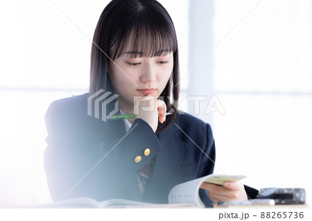 勉強する女子高生のポートレート 88265736