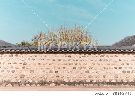 空 風景 花 88265749