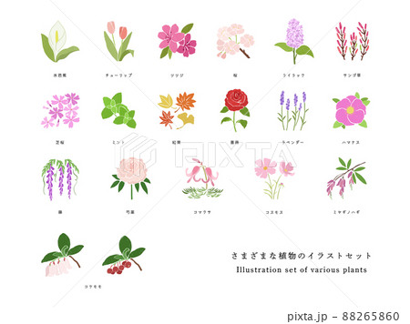 さまざまな種類の植物の手描きイラストセット さまざまな種類の植物の手描きイラストセット 88265860