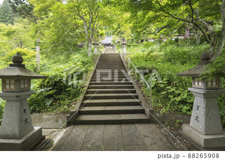 袈裟山千光寺参道階段 88265908