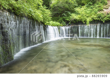 白糸の滝 白糸の滝 88265909
