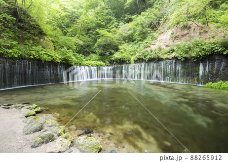 白糸の滝 白糸の滝 88265912