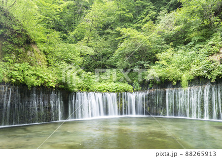 白糸の滝 88265913