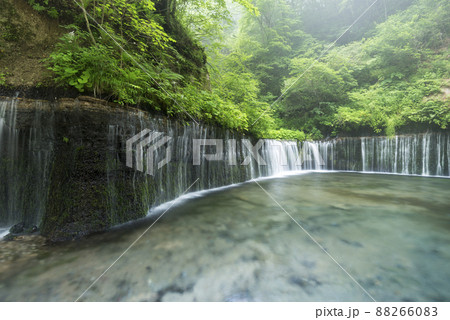 霧の中に白糸の滝 88266083