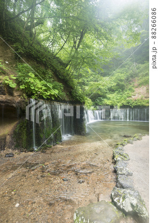 霧の中に白糸の滝 霧の中に白糸の滝 88266086