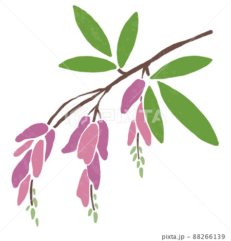 シンプルなミヤギノハギの手描きベクターイラスト 88266139