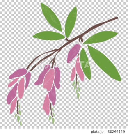 シンプルなミヤギノハギの手描きベクターイラスト 88266139