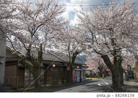 春の旧国鉄倉吉線関金駅跡の町並み（倉吉市） 88266156