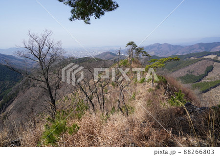 桐生市菱町から仙人ケ岳登山コースを登る。黒川左岸の尾根の仙人ケ岳登山道から西、桐生市街地方面 桐生市菱町から仙人ケ岳登山コースを登る。黒川左岸の尾根の仙人ケ岳登山道から西、桐生市街地方面 88266803