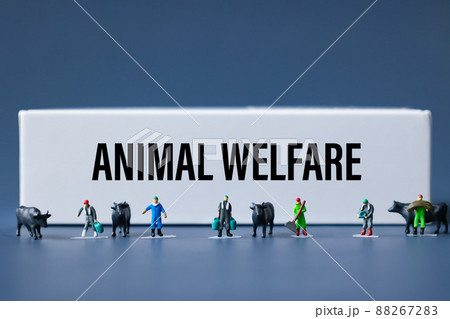 ミニチュア模型を使った動物福祉（アニマルウェルフェア）と畜産業のイメージ図 88267283