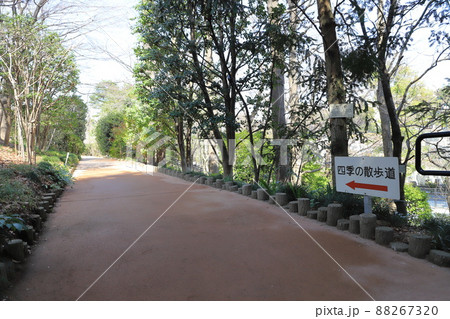 赤塚植物園　「四季の散歩道」　板橋区赤塚　 88267320