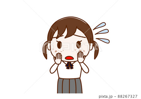 （上半身正面）頬全体にシミが出来ているのを発見して焦っている女子学生 88267327