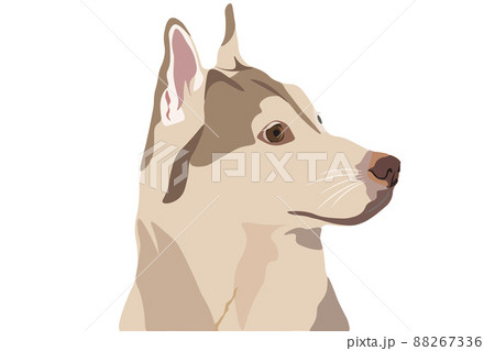 Portrait of an Isabella Husky, in profile. Realism. Portrait of an Isabella Husky, in profile. Realism. 88267336